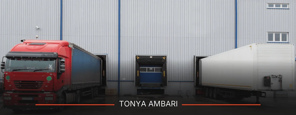 Tonya Ambarı